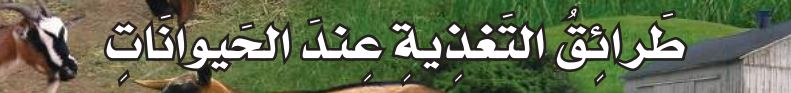طرائق التغذية عند الحيوانات